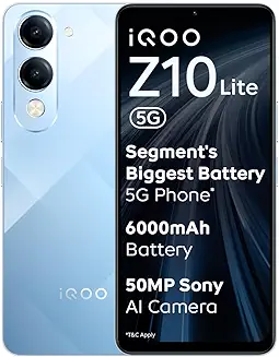 1000031381